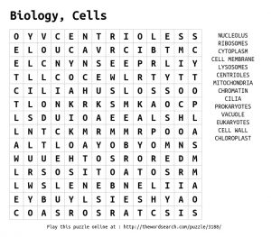 Cell-Word-Search